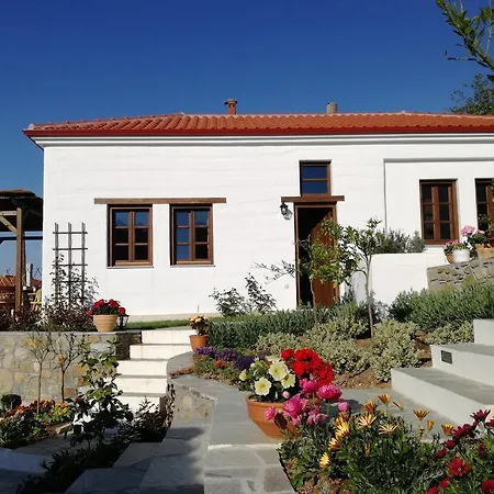Panorama-houses * 니키티