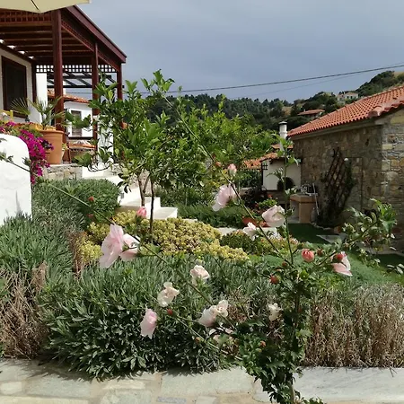 Panorama-houses Holiday home